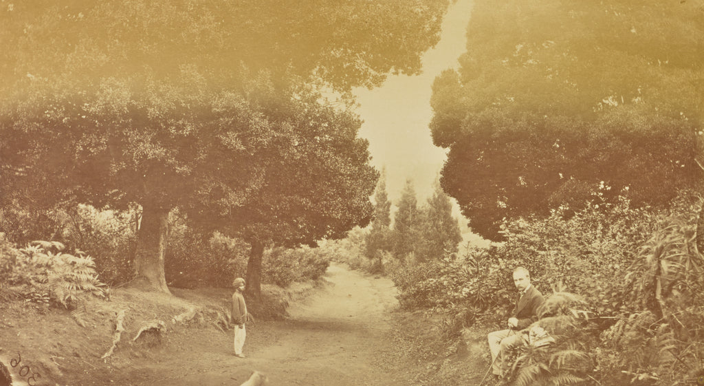 Willoughby Wallace Hooper:[Pathway through Landscape], Poster Print Wall Art
