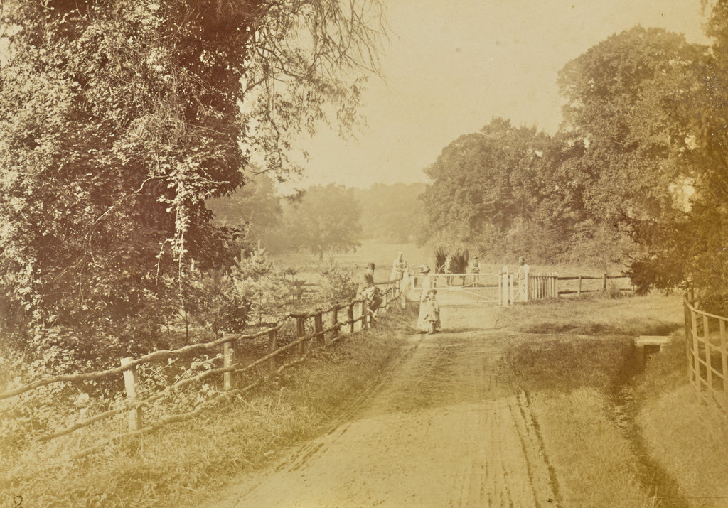 Willoughby Wallace Hooper:[Group Portrait at a Gate], Poster Print Wall Art