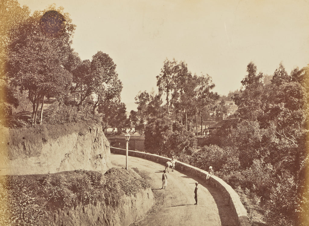 Willoughby Wallace Hooper:[Hillside Road], Poster Print Wall Art