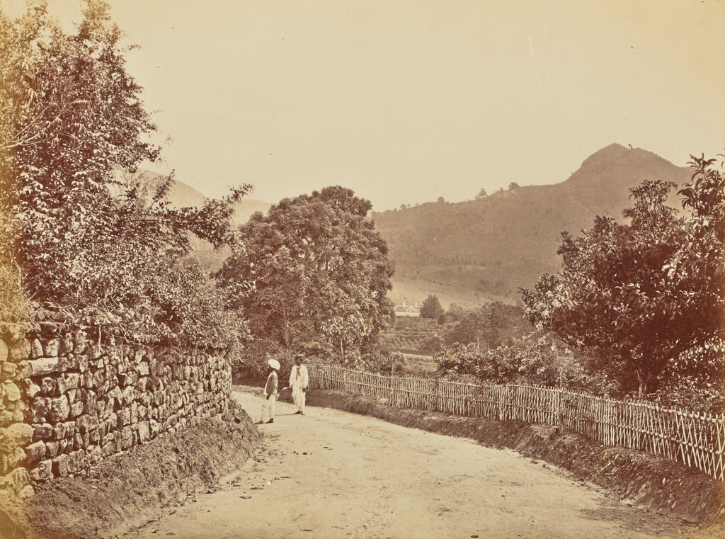 Willoughby Wallace Hooper:[Dirt Road], Poster Print Wall Art