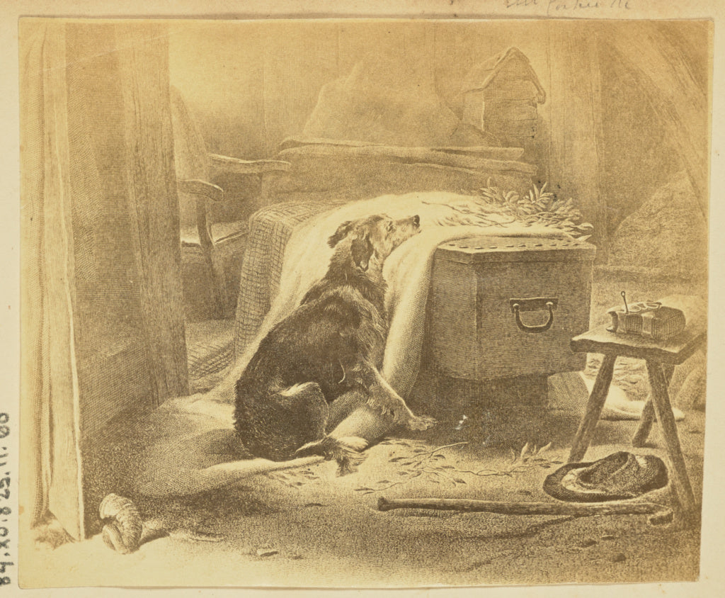 Unknown maker:[Dog with coffin], Poster Print Wall Art