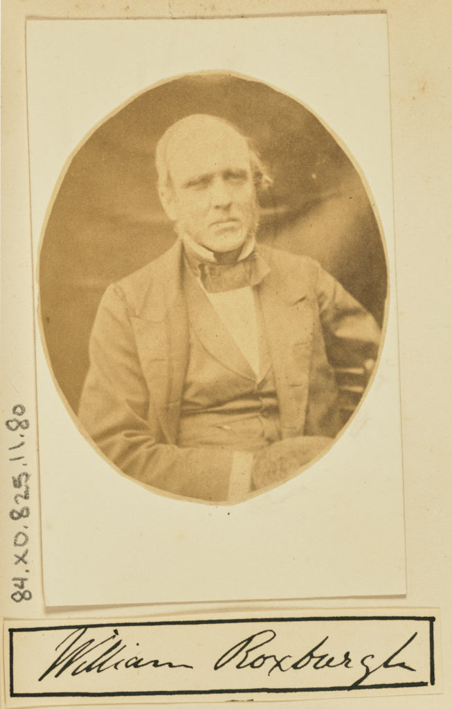 Unknown maker:[Portrait of William Roxburgh], Poster Print Wall Art