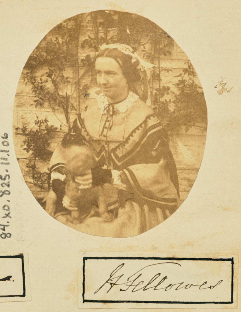 Unknown maker:[Portrait of Hannah Fellowes], Poster Print Wall Art