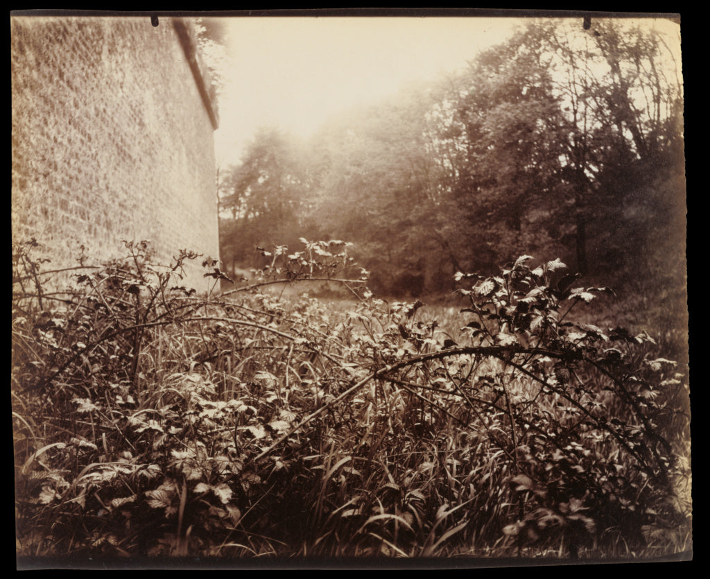Eugène Atget:Porte Dauphine, Poster Print Wall Art