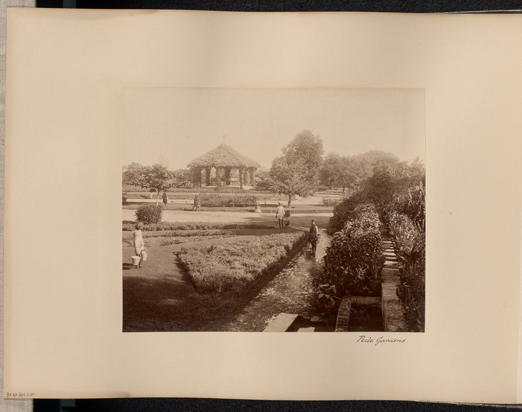 Unknown:Peile Gardens, Poster Print Wall Art