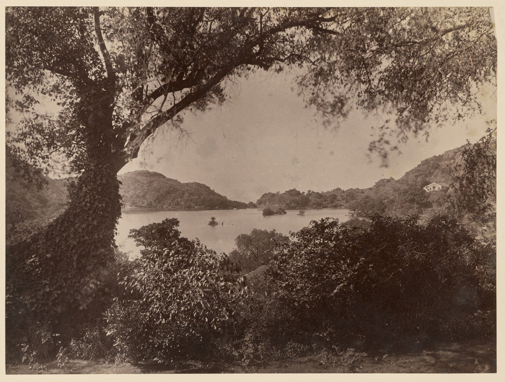 Lala Deen Dayal:Lake View from Dr. Spencer's House, Mount Ab, Poster Print Wall Art