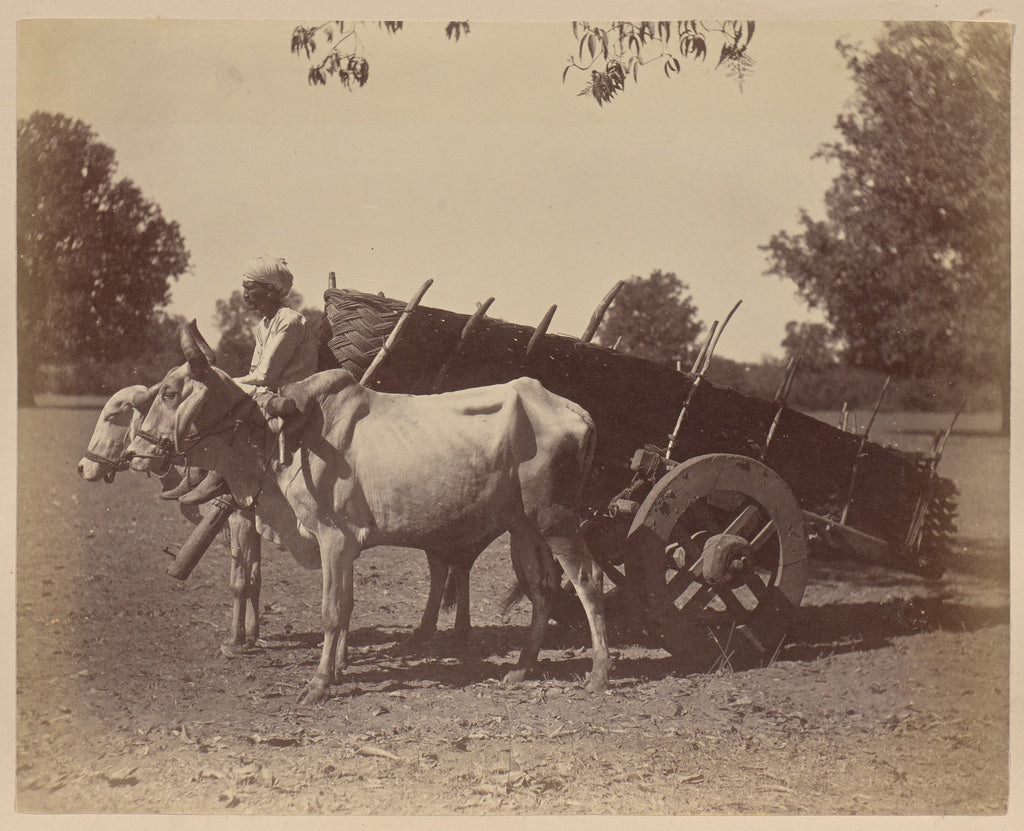 Unknown:Agricultural Cart, Guzerat, Poster Print Wall Art