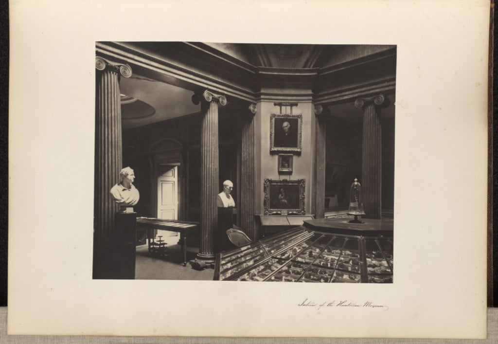 Thomas Annan:Interior Of The Hunterian Museum., Poster Print Wall Art