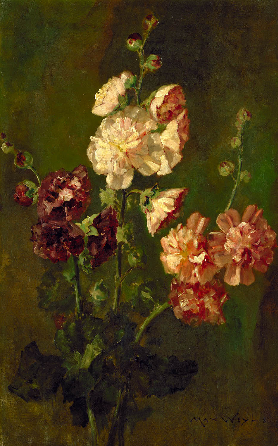 Max Weyl:Hollyhocks,16x12"(A3)Poster