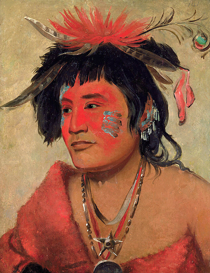 George Catlin:Pah-shee-náu-shaw, a Warrior,16x12