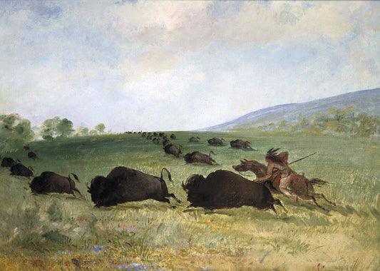 George Catlin:An Osage Indian Lancing a Buffalo,16x12"(A3)Poster