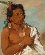 George Catlin:U'sh-ee-kitz, He Who Fights with a Feather, Ch,16x12"(A3)Poster