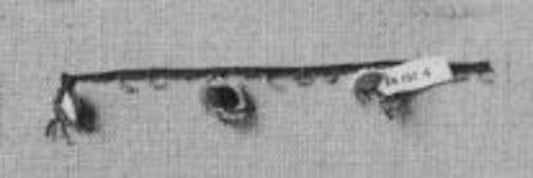 :Oyah 19th century-16x12"(A3) Poster