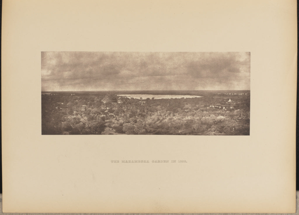 Henry W. Cave:The Mahamegha Garden in 1896, Poster Print Wall Art