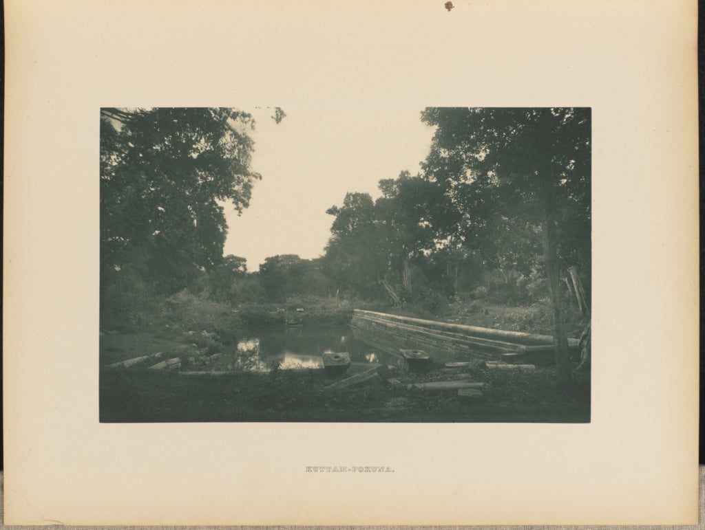 Henry W. Cave:Kuttam-Pokuna, Poster Print Wall Art