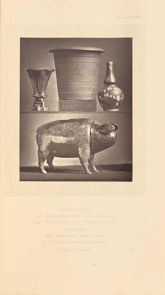 William Chaffers:[Two vases, a garden pot, and a Sussex pig], Poster Print Wall Art