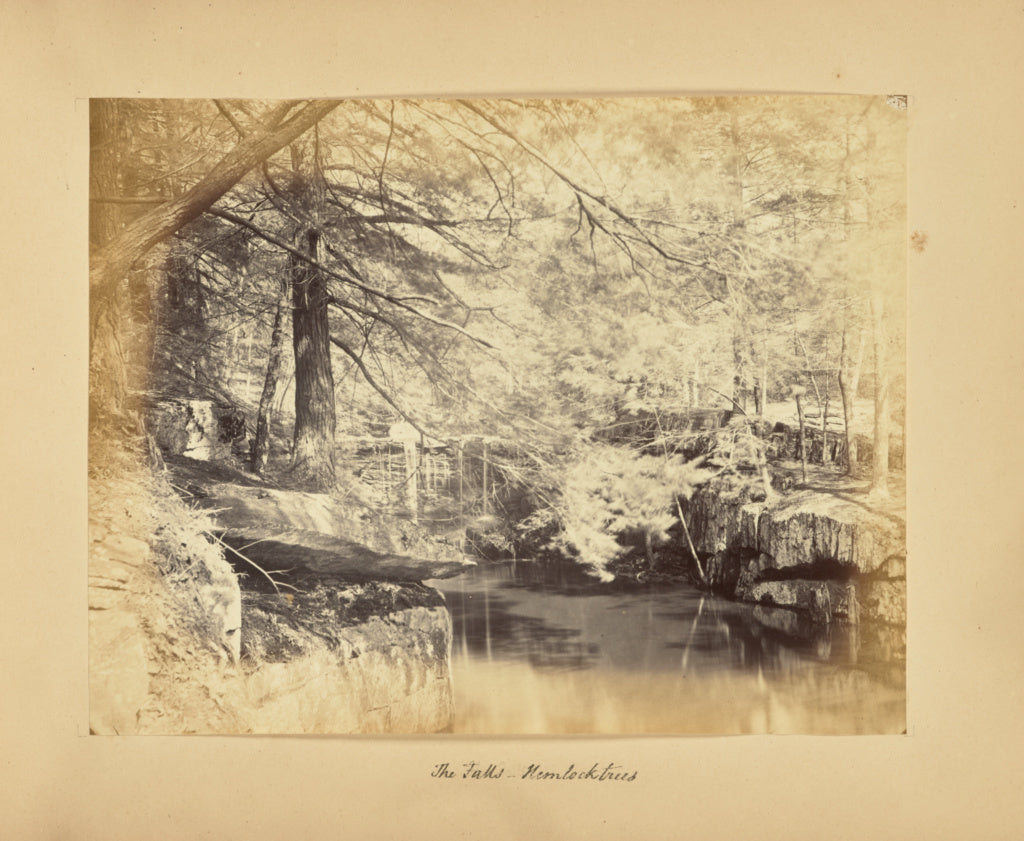 Alfred BoothPossibly:The Falls - Hemlock Trees, Poster Print Wall Art