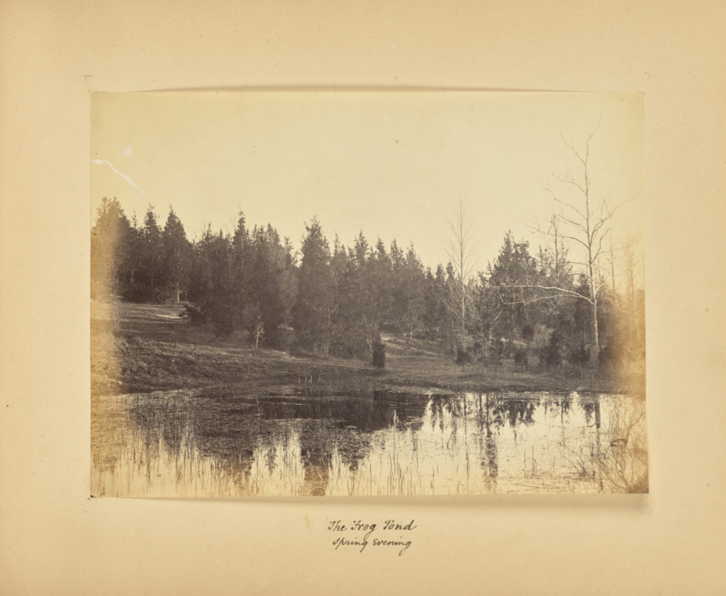 Alfred BoothPossibly:The Frog Pond - Spring Evening, Poster Print Wall Art