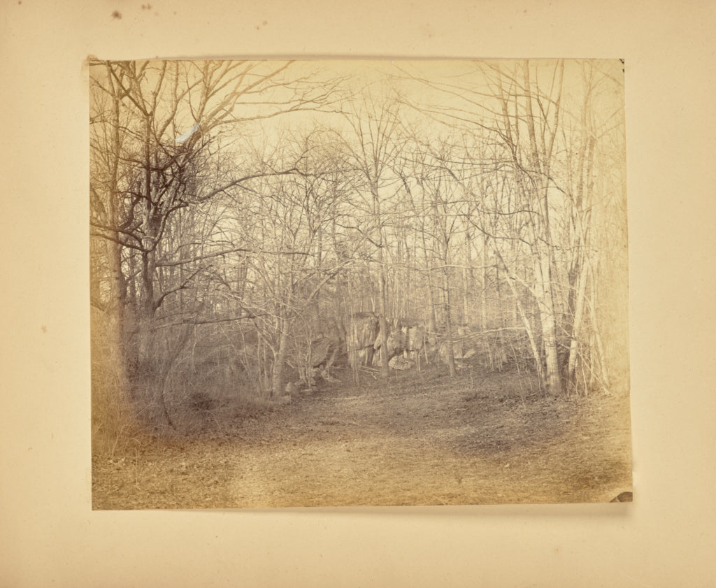 Alfred BoothPossibly:[Clearing in a wood], Poster Print Wall Art