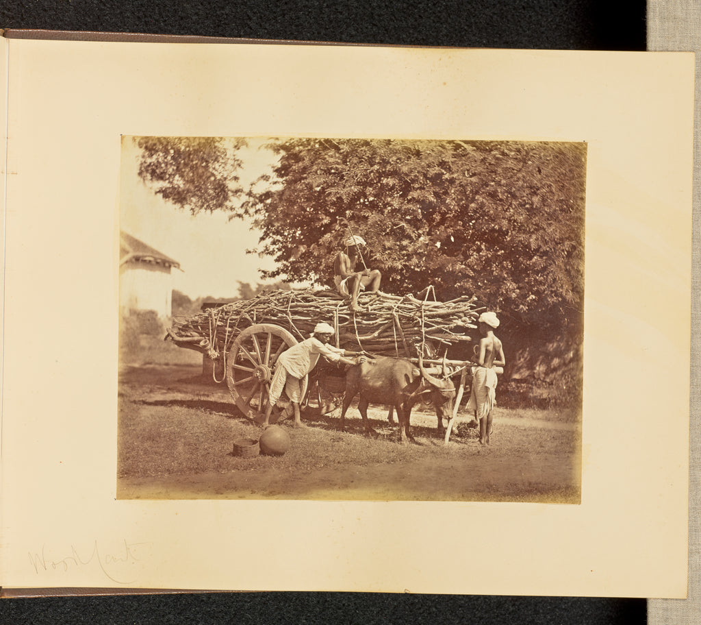 Willoughby Wallace Hooper:Wood Cart, Poster Print Wall Art