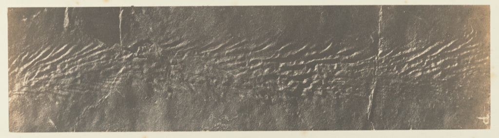 Unknown:Plate 44. [Figure] A, Poster Print Wall Art
