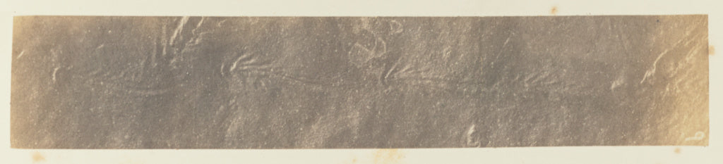 Unknown:Plate 44. [Figure] C, Poster Print Wall Art