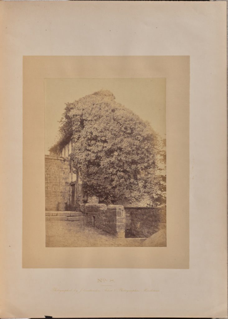 J. Cruttenden:Upper Story of the Bastion Called the Ivy Towe, Poster Print Wall Art