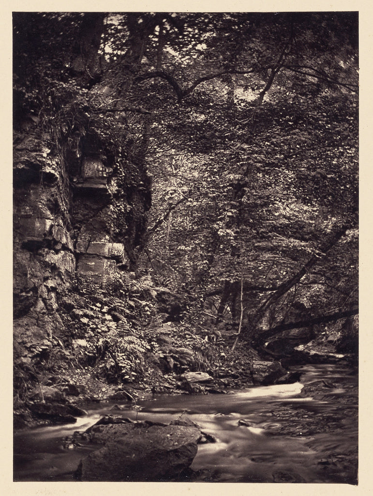 Arthur Brown:[Bend in forest stream], Poster Print Wall Art