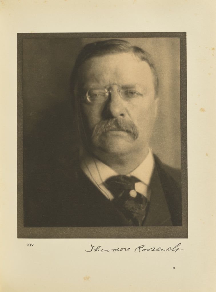 Alvin Langdon Coburn:Theodore Roosevelt, Poster Print Wall Art