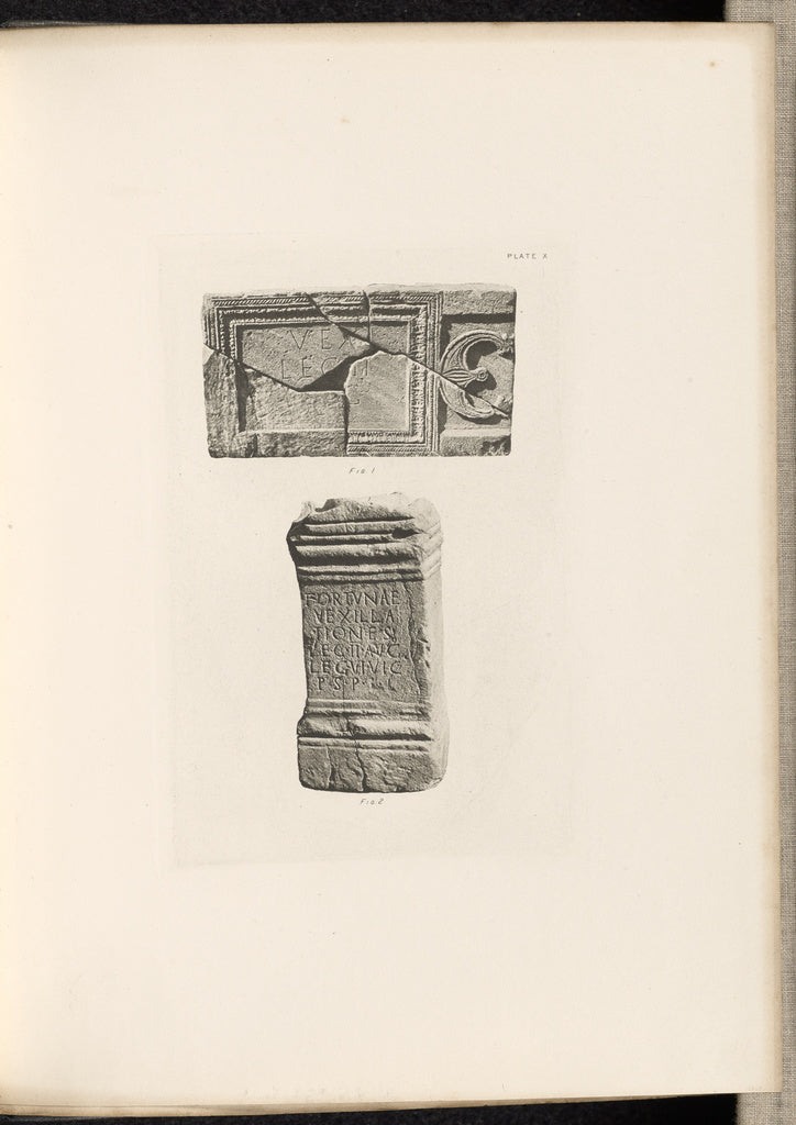 Thomas Annan:Plate X, Poster Print Wall Art