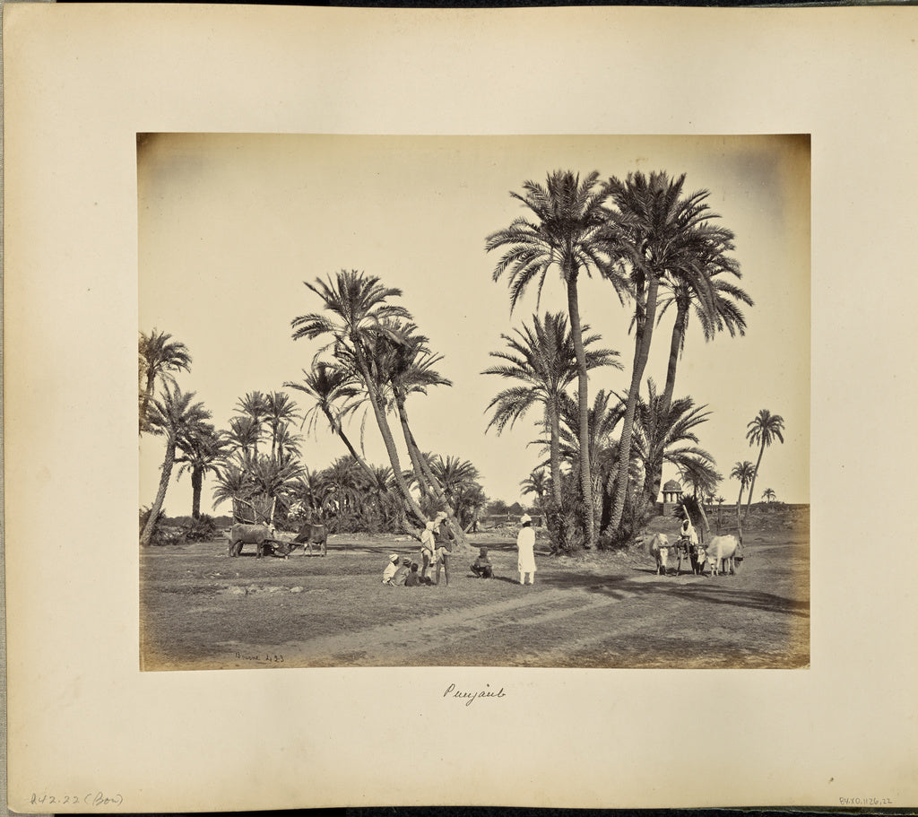 Samuel Bourne:Indian Landscape near Lahore, Poster Print Wall Art
