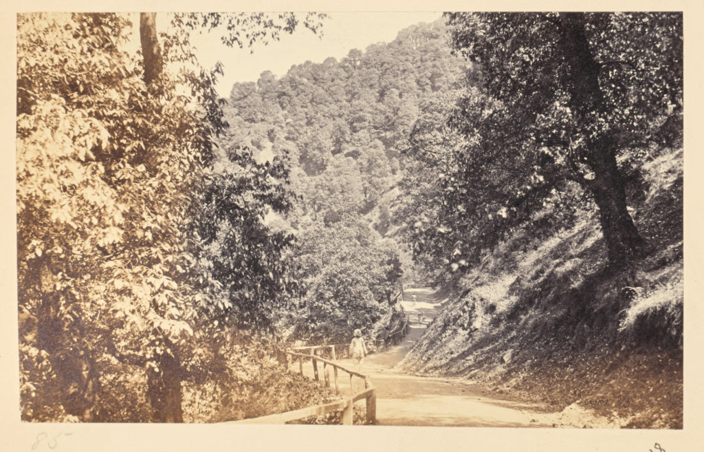 Samuel Bourne:Simla; The Mall, near "Raby Lodge", Poster Print Wall Art