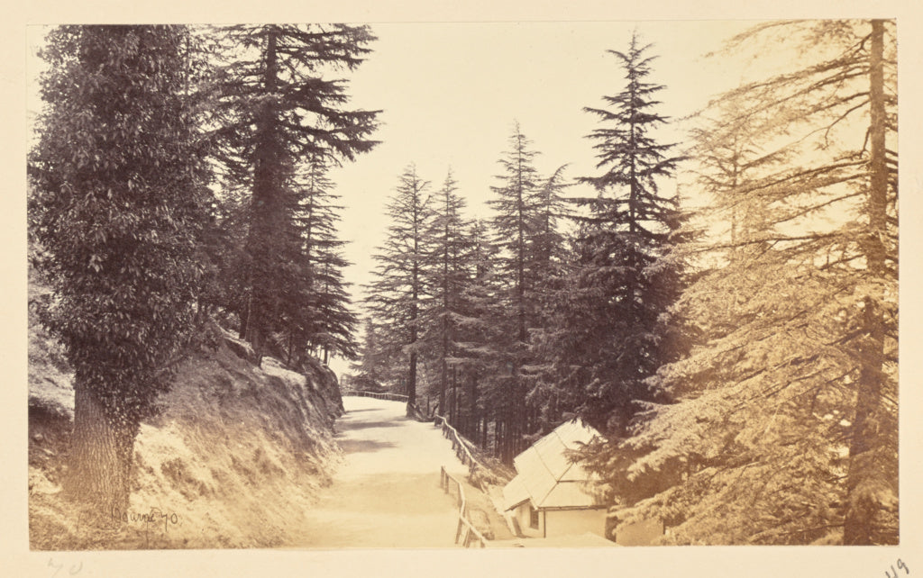 Samuel Bourne:Simla; The Mall below the Club, Poster Print Wall Art