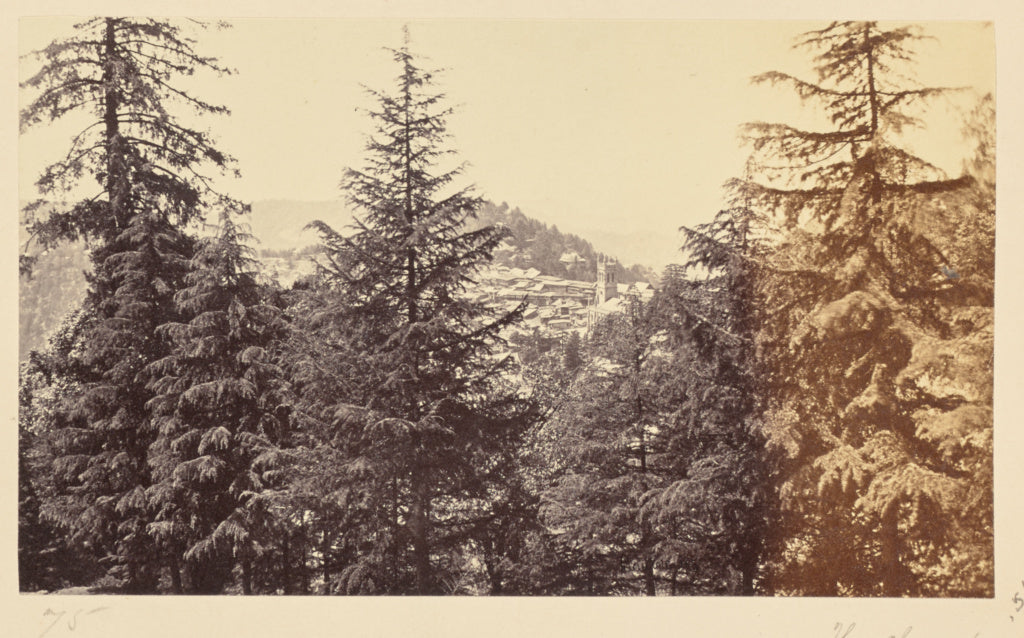 Samuel Bourne:Simla; The Church through the Trees, from Jakk, Poster Print Wall Art
