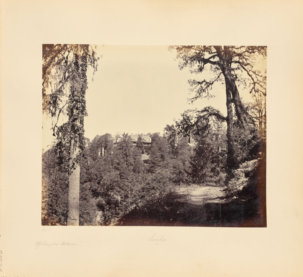Samuel Bourne:Sir William Mansfield's Bungalow, Mahassoo, ne, Poster Print Wall Art