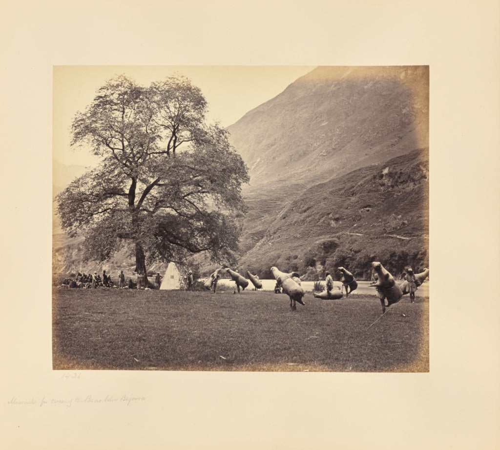 Samuel Bourne:Mussucks for Crossing the Beas below Bajoura, Poster Print Wall Art