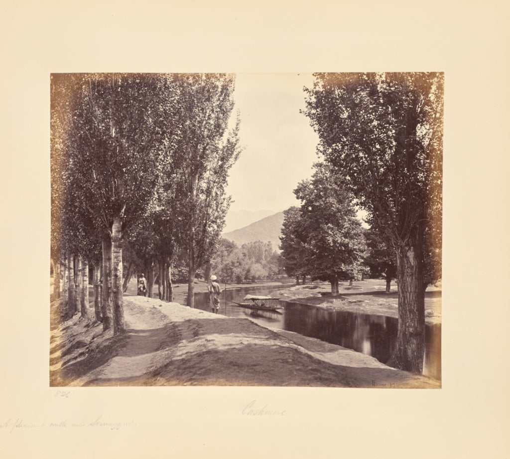 Samuel Bourne:A Pleasant Walk near Srinuggur, Poster Print Wall Art