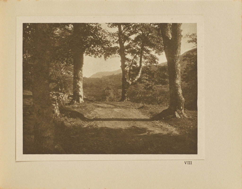 Alvin Langdon Coburn:In the Valley of the Artro, Poster Print Wall Art