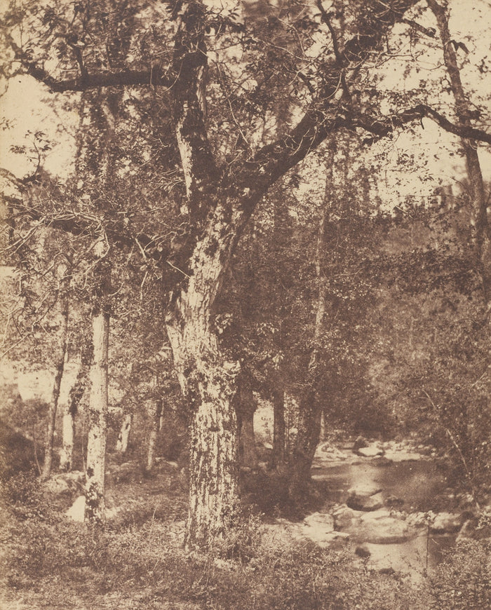 John StewartAttributed to:[Wooded Landscape with Stream],16x12