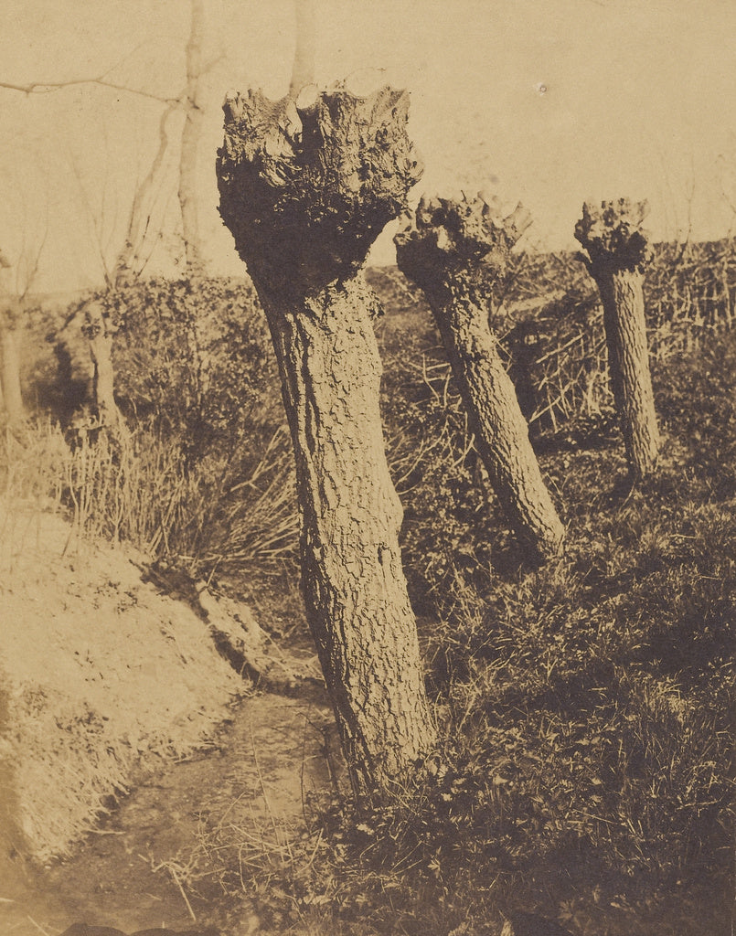 Henri-Victor RegnaultAttributed to:[Landscape with Three Pru, Poster Print Wall Art