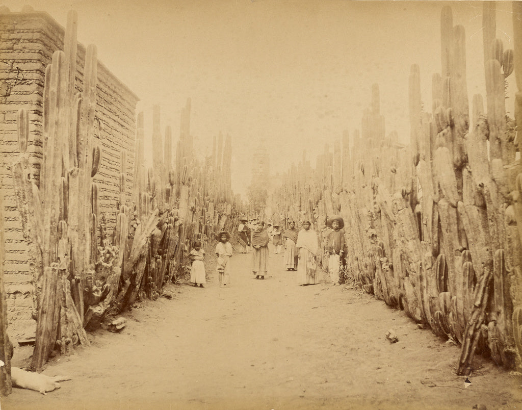 Abel Briquet:Mexico. Street of Village San Juan, State of Me, Poster Print Wall Art