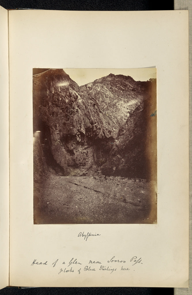 Ronald Ruthven Leslie-Melville:Abyssinia. Head of a Glen nea,16x12