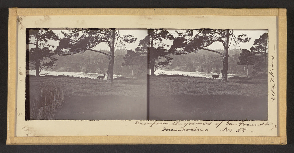 Carleton Watkins:View from the Grounds of Mr. Freundt, Mendo, Poster Print Wall Art