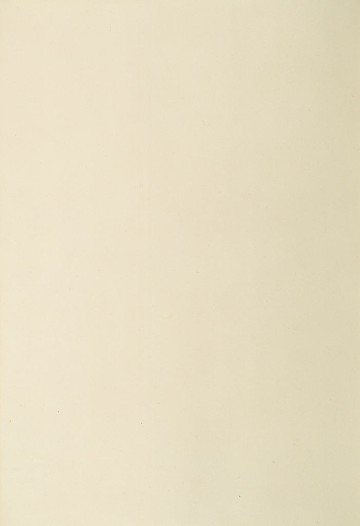 Unknown:Paper Flyleaf, Poster Print Wall Art