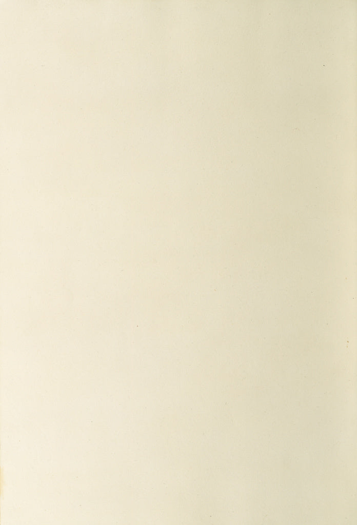 Unknown:Blank Flyleaf, Poster Print Wall Art