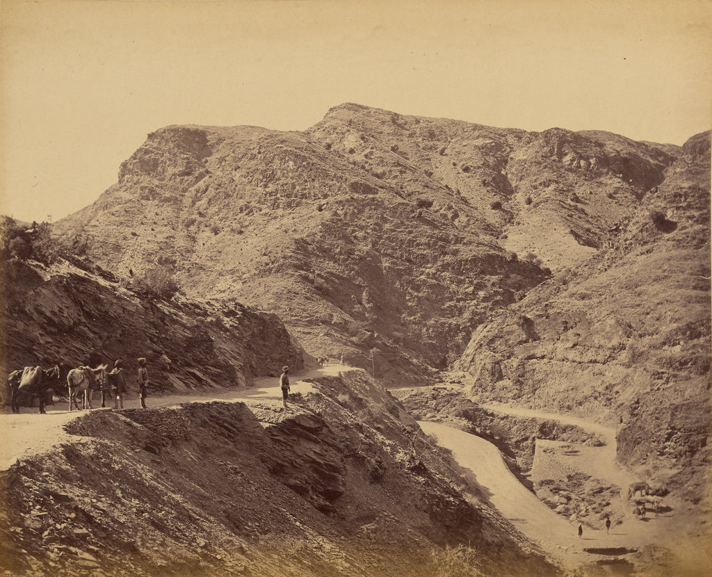 John Burke:[Men and donkeys on mountain path], Poster Print Wall Art