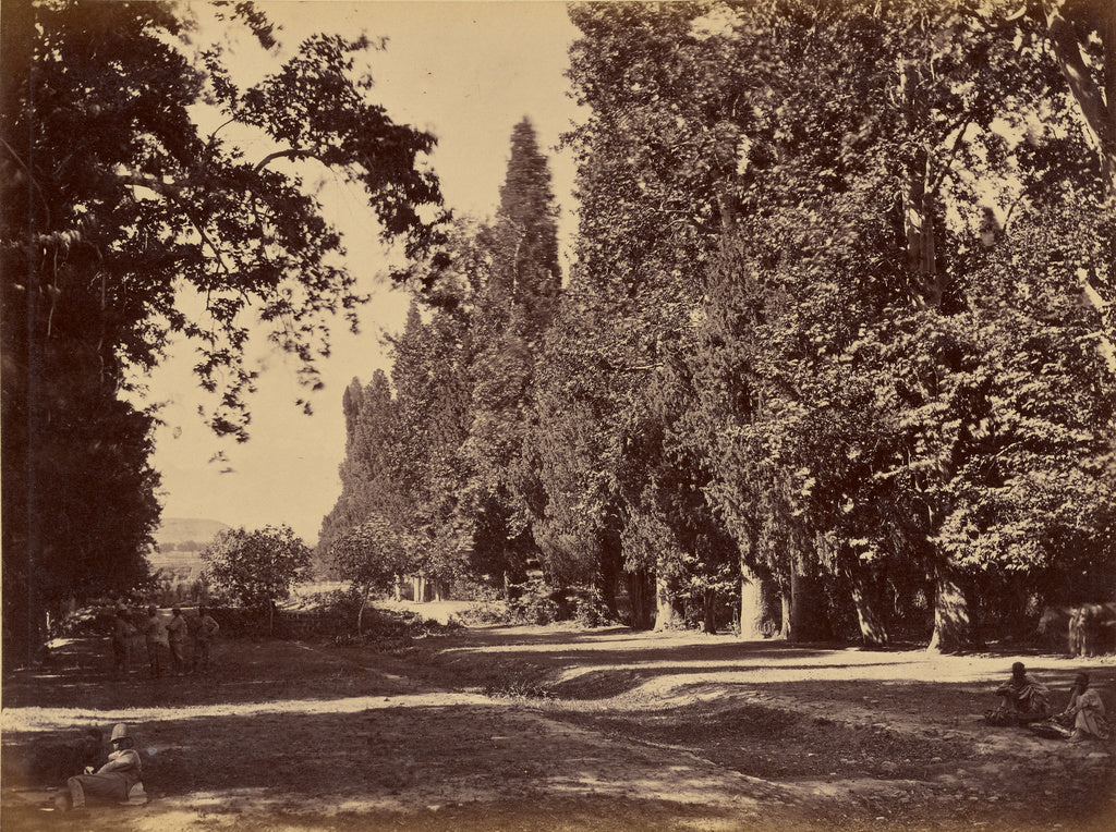 John Burke:[Men resting in the shade], Poster Print Wall Art