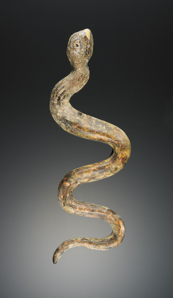 Unknown:Snake, Poster Print Wall Art