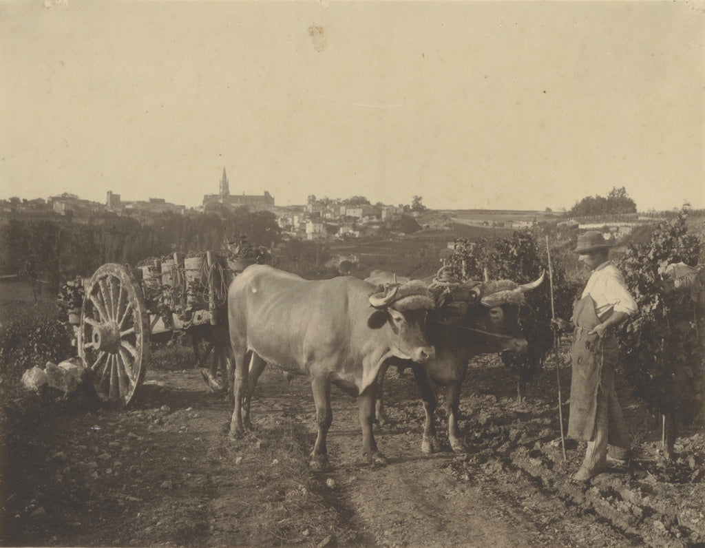 Adolphe BraunAttributed to:[Man with oxen], Poster Print Wall Art