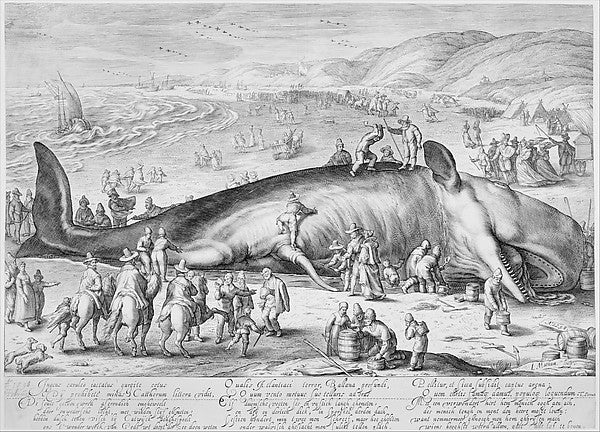 Beached Whale 1598-Jacob Matham,  Poster Print Wall Art